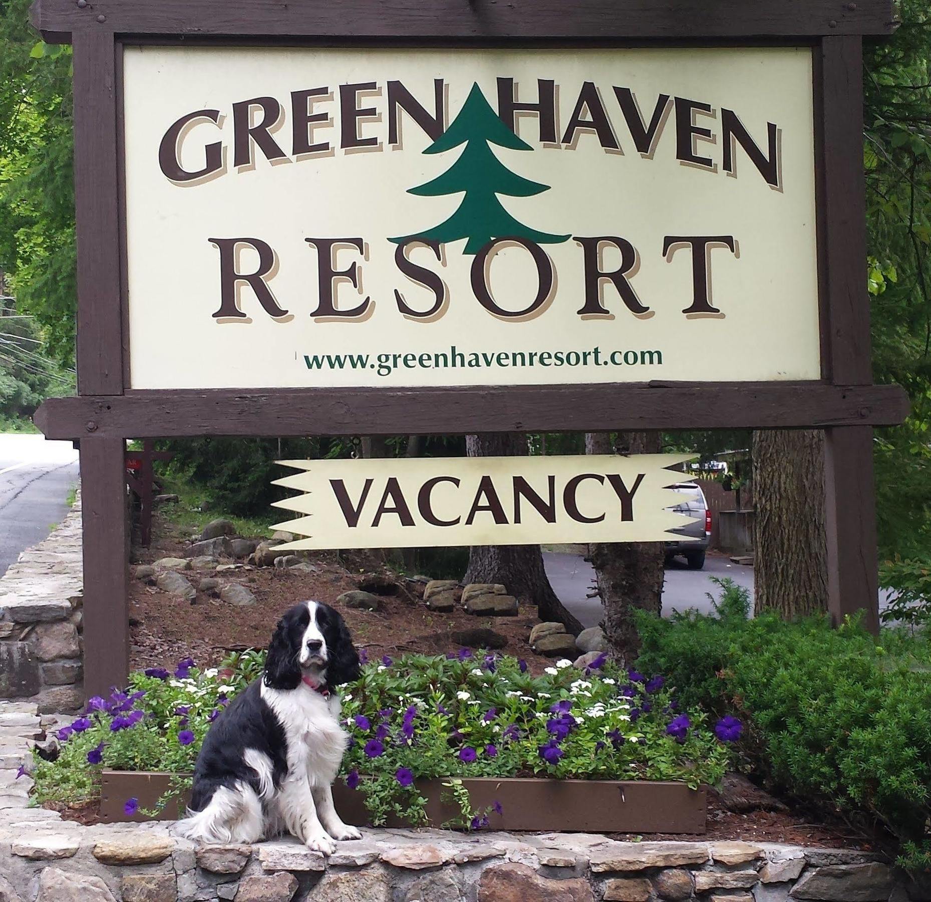 Green Haven Resort Лейк Джордж Екстериор снимка